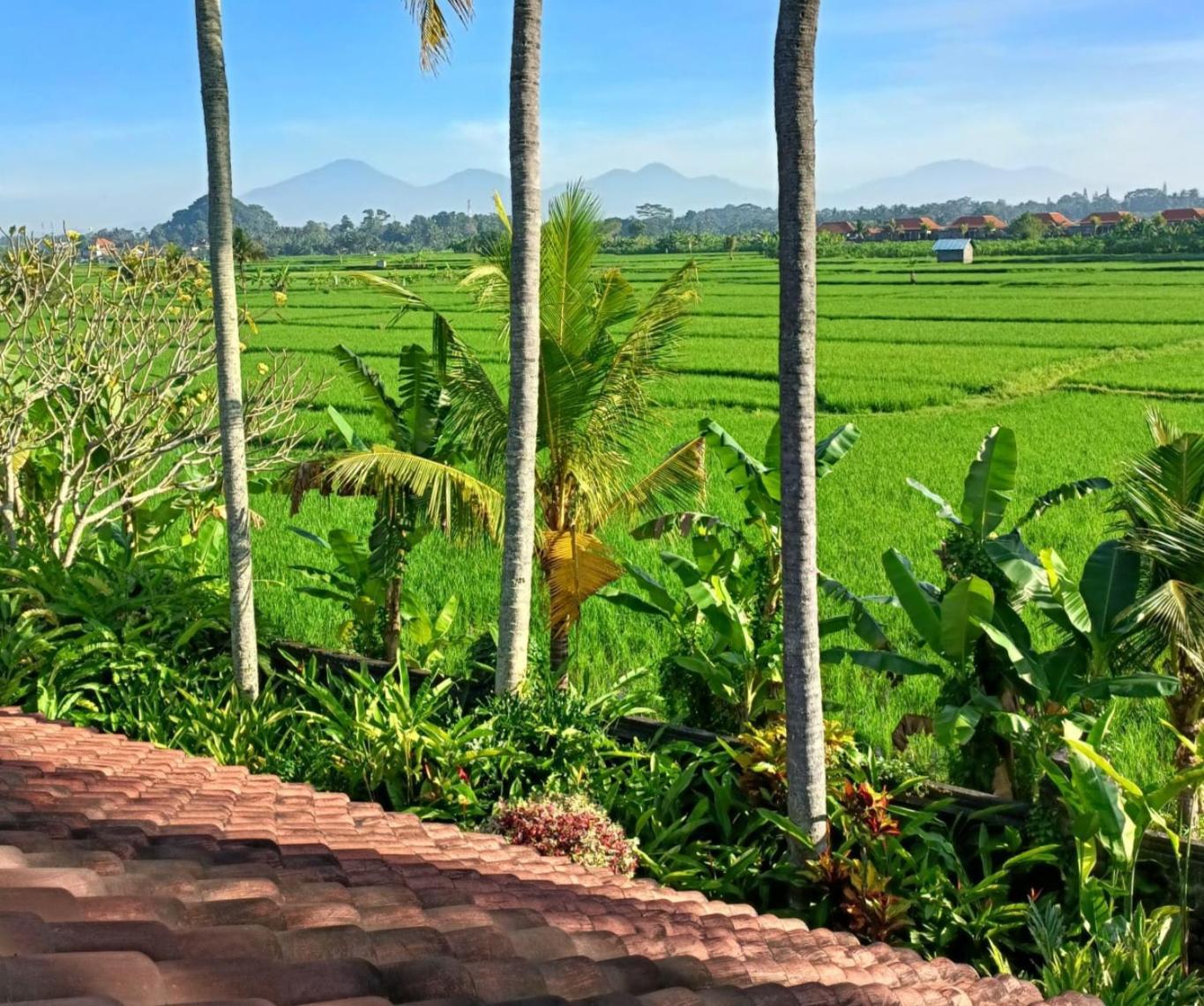 Runa House Of Design Ubud Exteriör bild