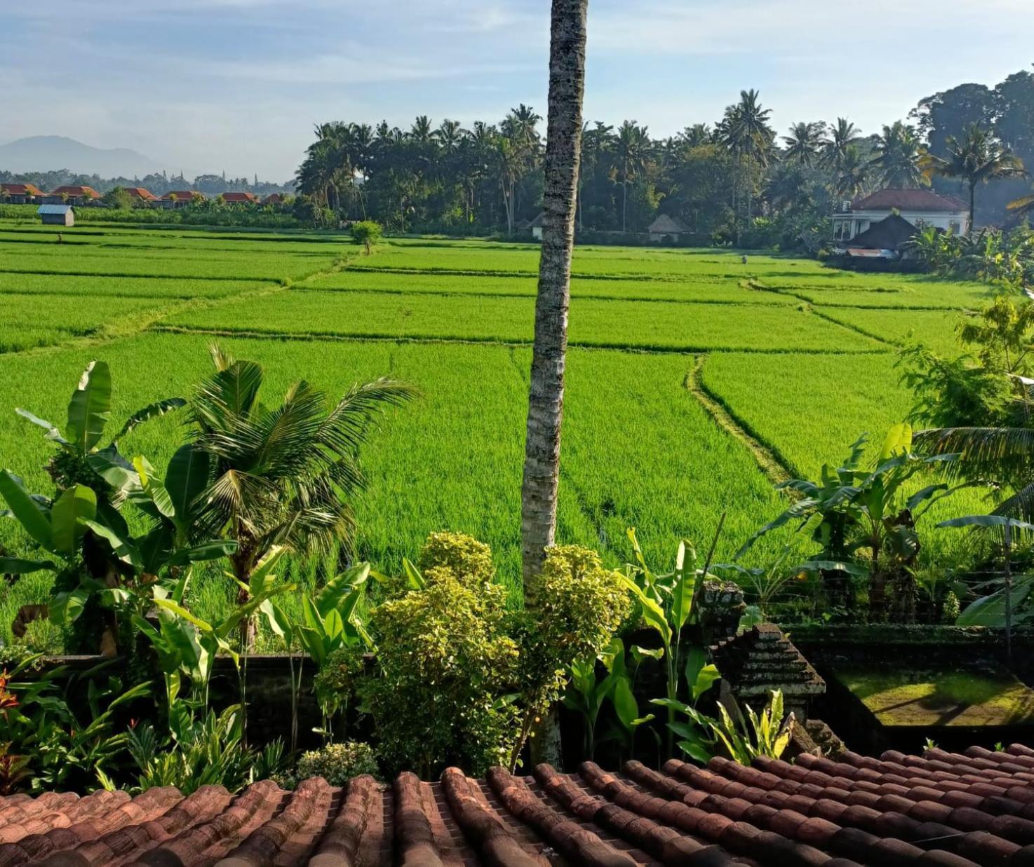 Runa House Of Design Ubud Exteriör bild
